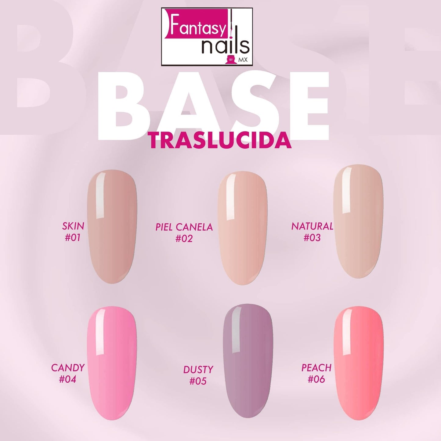 Base Traslucida F.N