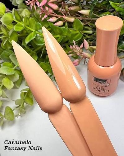 Geles Colores Varios Fantasy Nails