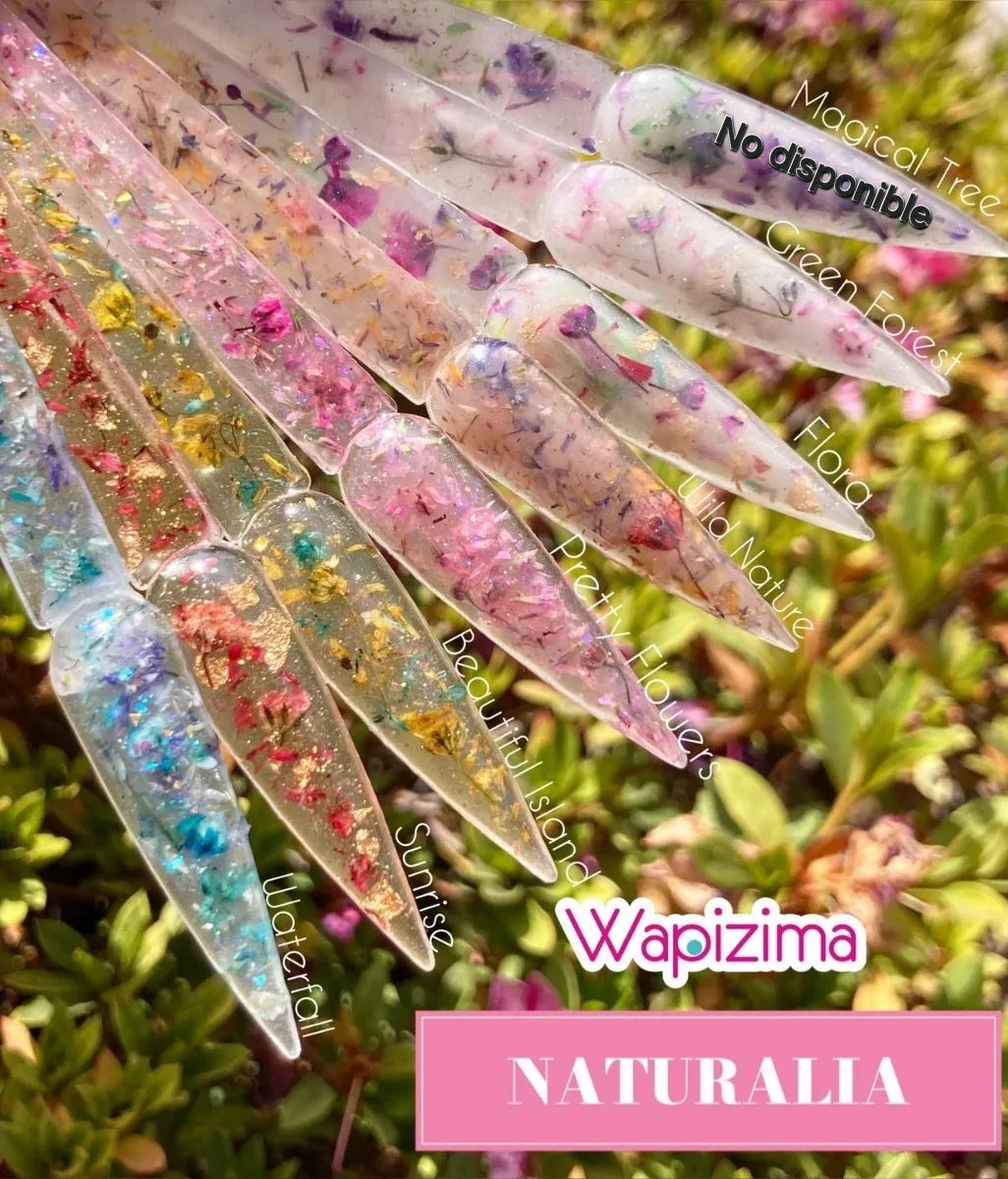 Acrilico Wapizima con naturaleza 1 onza