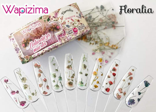 Naturaleza Muerta wapizima Floralia