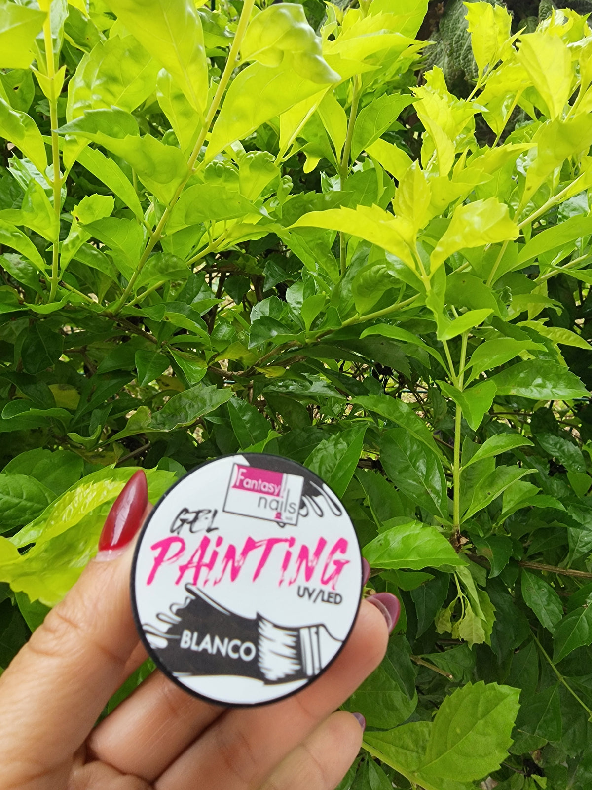 Painting blanco